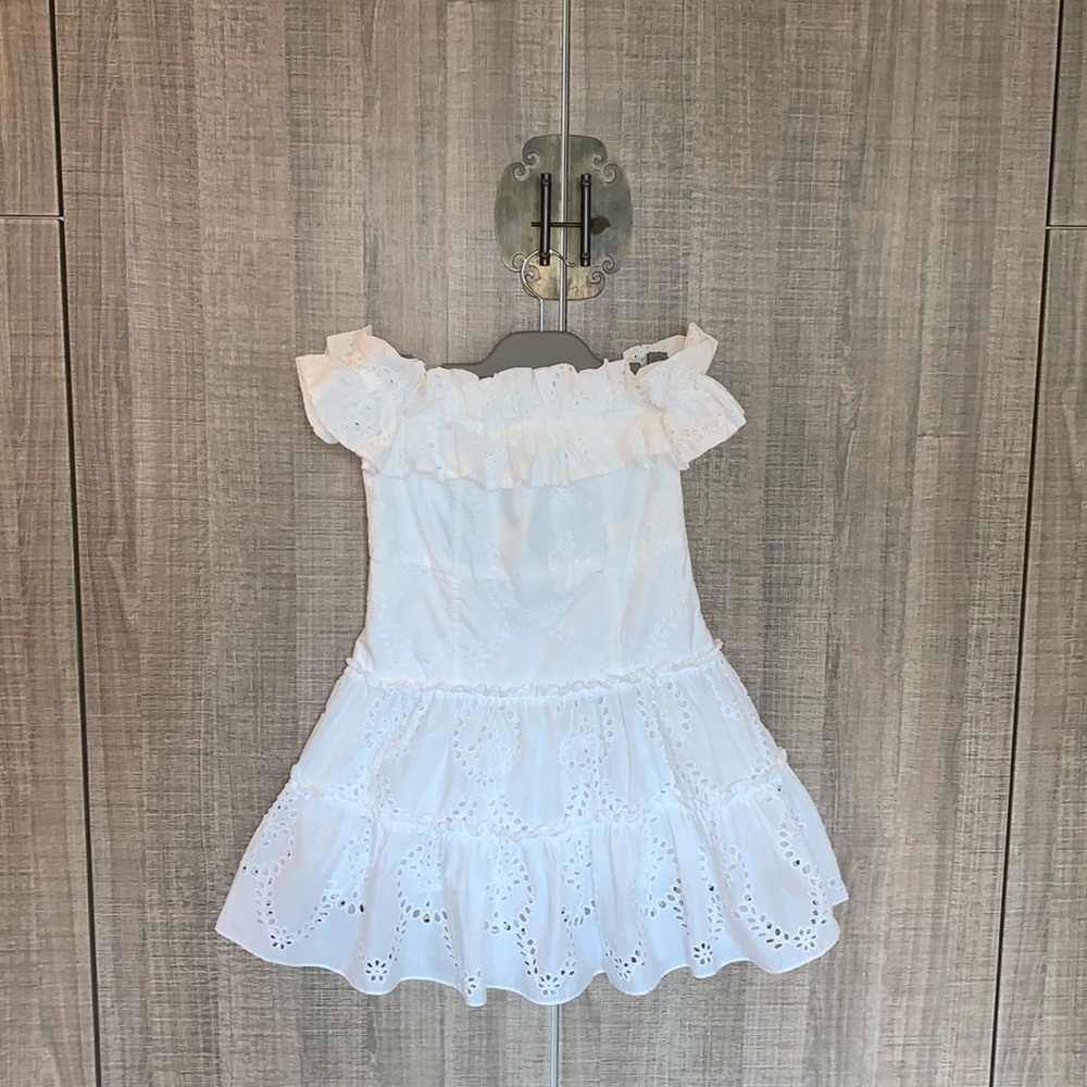 Zara Off The Shoulder Embroidered Ruffled Mini Dress